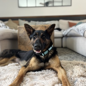 Fundraising Page: Katie Barnett